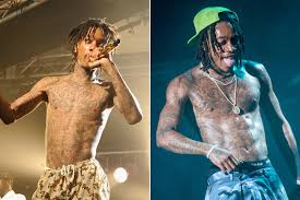 A muscle consists of fibers of muscle cells surrounded by protective tissue, bundled together many more fibers, all surrounded in a thick protective tissue. Wiz Khalifa Gained 35 Pounds Of Muscle From Mma Training Page Six