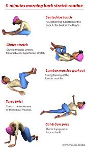 5 Morning Back Stretches Good Work Out For Deep Muscles Of The Spine Back Of The Thighs Up To The Stretch Routine Stretches For Your Back Muscle Stretches