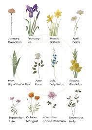 These flowers celebrate unique attributes of the month, represent exceptional characteristics, and convey messages. Birth Flower Personalised Original Watercolour Paintings Birth Flowers Flower Painting Original Watercolor Painting