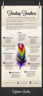 Learn Angel Feather Meanings What Do White Feathers Mean Finding Feathers Feather Meaning Feather