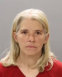 ROMERO RUBIO, TORIBIO Charges: IMMIGRATION DETAINEE This information and  more is available at https://sheriff.knoxcountytn.gov