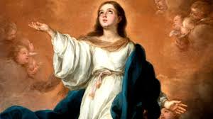 Mary (name), a feminine given name (includes a list of people with the name). Why Is Devotion To Mary Important Denver Catholic