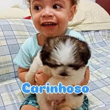 🫰🫶🤭🙏. #stitch #seɢᴜɴᴅᴏᴜ #março