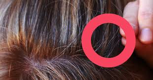 Färbungen ohne ammoniak schonen haare und kopfhaut, pflegen das haar zusätzlich durch ein schutzserum und duften angenehmer, halten dafür aber oft weniger lang als farben mit ammoniak. Graue Haare 3 Grunde Warum Du Sie Nicht Farben Solltest Utopia De
