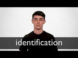 French Translation Of Identification Collins English French Dictionary