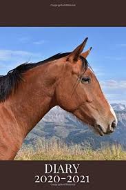 Diary 2020 2021 Horse Art Print August 2020 To December 2021 Monthly And Week To View Planner W Inspirational Quote In 2020 Horse Art Print Horses Horse Art
