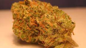 Mary jane has a new home! A Year Of Lil Wayne More Kush
