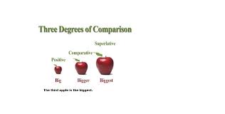 Demikianlah pengertian dan contoh kalimat dari superlative degree. 15 Contoh Kalimat Superlative Degree Brainly Co Id