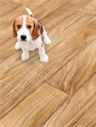 Tarkett Pvc Podovi Za Vas Siguran I Lak Korak Pvc Hardwood Floors Hardwood