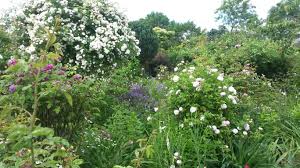 Liebe gartenbesucher eine große zahl der teilnehmer öffneten trotz aller widrigkeiten ihren garten für all die vielen gartenbegeisterten besucher. Offene Garten 2018
