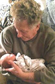 Ted Landers's Instagram, Twitter & Facebook