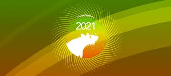 Rat S 2021 Chinese Horoscope