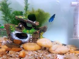 Check spelling or type a new query. Buy Anxunjim Aquarium Sunken Ship Shipwreck Battleship Fish Tank Decoration For Betta Fish Hideout Online In Uk B08r5yfk92