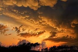 Mammatus (also called mamma or mammatocumulus, meaning mammary cloud) is a cellular pattern of pouches hanging underneath the base of a cloud, typically a cumulonimbus raincloud, although they may be attached to other classes of parent clouds. Wczorajsze Chmury Burzowe Nad Miedzychodem To Bylo Niezwykle Zjawisko Unikatowe W Skali Wielkopolski A Moze I Polski Miedzychod Nasze Miasto