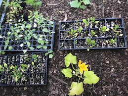 We are a diverse company, offering a host of services to support your landscaping or snow removal business. Dan Brown Turns Local Food Waste Into Soil My Cleveland Cleveland Com