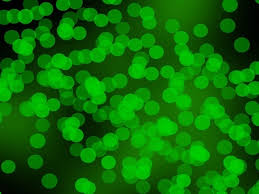 Light Green Color Free Stock Photos Download 16 165 Free Stock Photos For Commercial Use Format Hd High Resolution Jpg Images