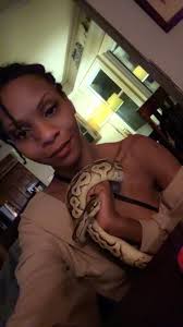 New ball python owner seeking setup advice