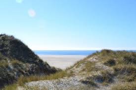 Ferienwohnung seeadler, es erwartet sie eine neue, moderne,helle und freundliche wohnung am ortsausgang von wittdün, direkt am herrlichen weg in die dünen und zum hafen. Seeadler Amrum Unsere Zeit 1019554 Ferienwohnung Wittdun
