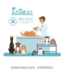 Animals In Cabinet Of Vet Hospital Vector Illustration Pet Clinic Vets Animal Hospital