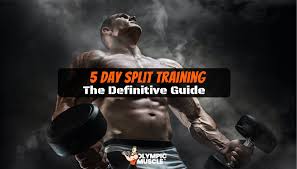 It can be used individually or in pairs, with one in each hand. 5 Day Workout Routine To Get Ripped Complete Guide 2019