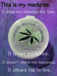 Pin On Cannabis Cures Information Culture Humour