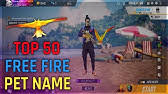 Every player who participates in free fire game wants to create his own character name that is impressive and unique compared to other characters. How To Change Night Panther Name Free In Free Fire How To Change Pet Name Free In Free Fire Youtube