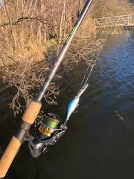 Croix mojo inshore spinning rod is a sight for sore eyes. Spinning Hengel St Croix Avid X