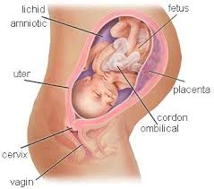 De care vitamine luati in timpul sarcinii si de la cate luni ati inceput? Sarcina Luna Viii