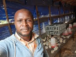 Liquid starter alternatives for corn cultivation