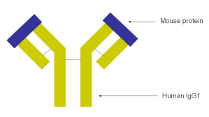 Image result for Infliximab