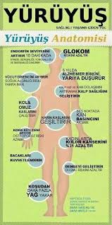24db45d5a0c7a8d55fc60992307d88ce Jpg 480 960 Saglik 15 Dakika Egzersiz Saglikli Spor Aktiviteleri