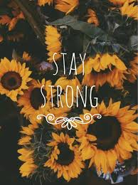 Motivational Quotes Tumblr Sunflower Wallpaper Sunflowers Background Pretty Flowers