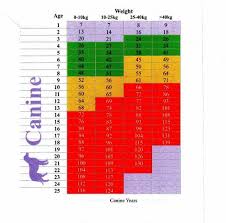 Screening Test Mcdowall Veterinary Practice