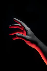 Check spelling or type a new query. 20 Hands Pictures Download Free Images On Unsplash