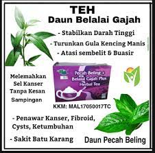 Petua hilangkan keletihan, petua kurangkan darah tinggi, petua daun belalai gajah, khasiat daun belalai gajah, resepi daun belalai gajah. Khasiat Daun Belalai Gajah Home Facebook