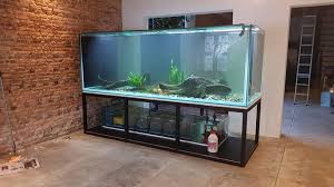 A wide variety of tank makers options are available to you, such as shaping mode, key selling points, and product material. Tank Size Yong Hua Tank Maker And Interior Design Facebook