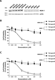 Check spelling or type a new query. Induction Of Stem Cell Factor C Kit Slug Signal Transduction In Multidrug Resistant Malignant Mesothelioma Cells Journal Of Biological Chemistry