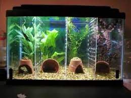 Adding colored rocks will cost you nothing. Girl Fish Tank Decorations Novocom Top