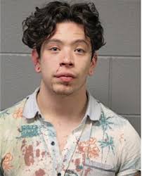 ᐅ Illinois Criminal Records 2009-2026