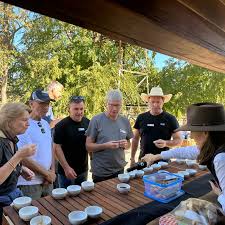 Glen Donald Estate Australian olive oil and farm visit experience