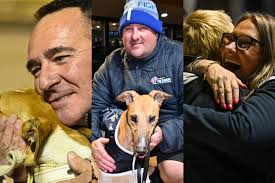 Victoria's finest shine in Pink Diamond culmination