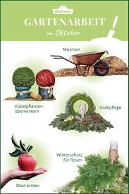Auch In Den Herbstmonaten Darf Der Garten Nicht Vernachlassigt Werden Mit Den Tipps In Unserem Ratgeber Verwandelt Ihr Euren Herbstgarten Garten Gartenarbeit