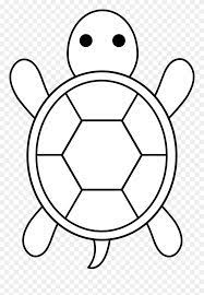 Cartoon Sea Turtle Drawing Clipart | Turtle Drawing, Cute Turtle Drawings,  Turtle Coloring Pages