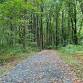 Nature Walk – Senior Citizen Edition event in Abingdon, MD