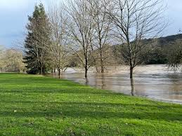 The South Umpqua River has just gone over the half shell in Stewart Park!  ￼It could rise another foot or two and should peak at 4 PM. ￼