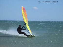 Windsurf: Local legends