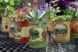 See more ideas about cactus, succulents, succulents garden. Great Antique Cans For Planters Container Gardening Garden Works Succulents