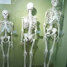 We did not find results for: The 10 Best Specialty Museums In Canton Of Basel Canton Of Basel