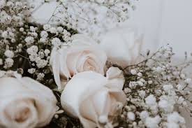 You need to surf hundreds of websites to find out perfect right caption for instagram post. 18 Instagram Captions For Rose Day 2020 Captionwala Caption Ideas