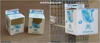 (s.53) buat sangkar kotak dari paralon bekas | part.1. Membuat Tempat Sarang Burung Dari Pipa Pvc Batang Palem Kardus Dan Tempurung Kelapa Om Kicau